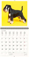 2026 Kalender schrijven 30 x 30 honden - gratis 2025