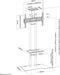 Neomounts PLASMA-M1700ES - Vloerstandaard voor LCD/LED/Plasma schermen t/m 70