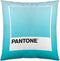 Kussenhoes Ombre Pantone Localization-B086JQ1ZM7 Omkeerbaar (50 x 50 cm)