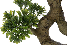 J-Line plant Podocarpus Bonsai - kunststof - groen - small