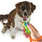 Brightkins Smarty Pooch Training Clicker Bone