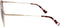 Zonnebril Dames Longchamp LO155S-723 ø 58 mm