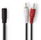 Nedis CAGP22255BK02 - Stereo audioadapter 3,5 mm naar RCA - 20 cm - Zwart