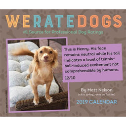 We Rate Dogs - Dagelijkse Kalender (2019) - Schattige en grappige hondenfoto's met beoordelingen en extra's