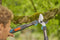 GARDENA Takkenschaar TeleCut Pro S - Telescooptakkenschaar - 50 mm snoeidiameter - Ergonomisch ontwerp