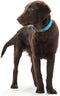 Dog collar Hunter Convenience Turquoise (23-31 cm)
