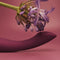 Svakom - Amy 2 - Flexibele G-Spot Vibrator - Paars