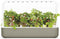 Binnentuin met LED-verlichting Click & Grow Smart Garden 9 - BEIGE
