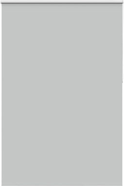 vidaXL - Rolgordijn - verduisterend - 160x210 - cm - stofbreedte - 156,6 - cm
