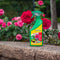 ECOstyle Spruzit-R Insecten Bestrijdingsmiddel Spray - Bladluis, Trips, Witte Vlieg - 100% Plantaardig - Binnen & Buiten - Gebruiksklaar - 750 ML