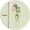 Plant in a Box - Vanda Lilac Beauty - Paars - Hoogte 85-95cm