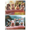 Puzzel Educa Baby Animals (2 Stuks)