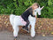 MY PONY, rijdend speelgoed unicorn van ROLLZONE ®, 4 - 10 jaar (MP2002-M) | Kinder Hobbelpaard