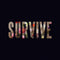 Lewis Capaldi - Survive - 12