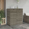 vidaXL - Tuinkast - 105x55x113 cm - PE-rattan - grijs