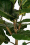 Mica Decorations Ficus Lyrata - Kunstplant - H165 x Ø95 cm - Groen