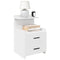 Nachtkastjes 2 st met 2 lades 40x36,5x62 cm wit