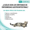 Pro Plan Veterinary Diets Kattenvoer EN GastroIntestinal Feline | 400