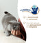 Biokat's Classic Attracting & Care - Kattenbakvulling - Klontvormend - 18 L