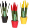 Plant in a Box - Sansevieria Cylindrica - Velvet Touch - Mix van 3 - Gemakkelijke kamerplant - Pot 9cm - Hoogte 20-40cm