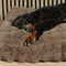Scruffs Alpine - Hondenkussen - XL 120 x 75 cm - Taupe