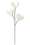 J-Line Bloem Tak Korte Bladeren 3 Koppen Eva Wit