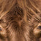 Customize it - Tuinschilderij hoogl rechts 130x70