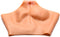 Pussy Panties - Silicone Vagina and Ass Panties - L