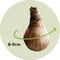 Plant in a Box - Leucojum Aestivum - x20 - Zomerklokje - Bloembollen voor Tuin, Terras of Balkon