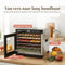 Fornello Voedseldroger - Dehydrator - Digitale bediening - RVS / Zwart