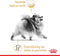 Royal Canin Pomeriaan Adult - Hondenvoer - 3 kg