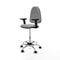 Piqueras y Crespo B2D05RN - Bureaustoel - Hoogteverstelbaar met armleuning - Lichtgrijs