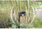 Gardigo Dierenverschrikker Functies: Ultrasoon, LED-lamp Werkingssfeer 45 m² 1 stuk(s)
