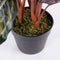 Mica Decorations Calathea Roseopicta Kunstplant - H60 x Ø40 cm - Bordeaux
