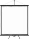vidaXL - Projectiescherm - met - statief - 1:1 - 81''