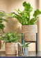 Mica Decorations Atlantic Plantenmand - Set van 3 - H12 x Ø12 cm H14 x Ø14 cm H16 x Ø16 cm - Zeegras - Lichtbruin (set van 3)