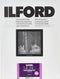 1x100 Ilford MG RC DL 1M 10,5x14,8 (507579)
