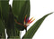 Decoratieve plant DKD Home Decor (90 x 90 x 200 cm)