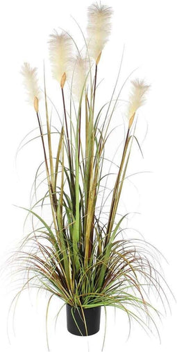 Mica Decorations pluimgras in plastic pot maat in cm: 150 x 45