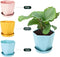 Set van 3 kunststof plantenpotten met schotel - 14.5 cm - Roze, Geel, Blauw