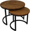 HSM Collection Salontafel Ronin Visgraat Naturel/Zwart Eiken/Metaal Set van 2