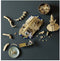 LEGO® Jurassic World - Dinosaurusfossielen: Triceratops (77985) - 1154 onderdelen - 1 minifiguur