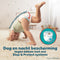 Pampers Baby-Dry Pants - Luierbroekjes Maat 8 - 3x Bescherming - 117 stuks