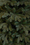 Triumph Tree Kunstkerstboom Sherwood - 76x76x155 cm - Pvc - Groen