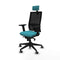 Bureaustoel Piqueras y Crespo 2D066G2 Turkoois