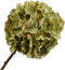 Silk-ka Kunstbloem-Zijde Bloem Hortensia Steel Groen 70 cm