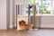 Designed by Lotte Nala - Krabpaal - Hout - 3 ligplekken - Bruin - 65x40x82 cm
