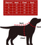 Plenty Gifts Kerst Jurk - Hondenjas - Poot - Rood - M