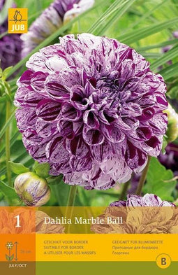 2 stuks 1 Dahlia Marble Ball