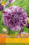 2 stuks 1 Dahlia Marble Ball